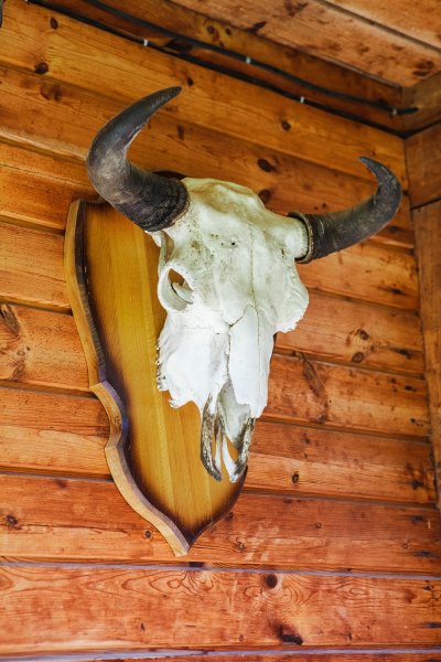 "Сел на велосипед – и ты в Польше". Как живет самая заповедная деревня Беларуси | - «Интернет и связь»