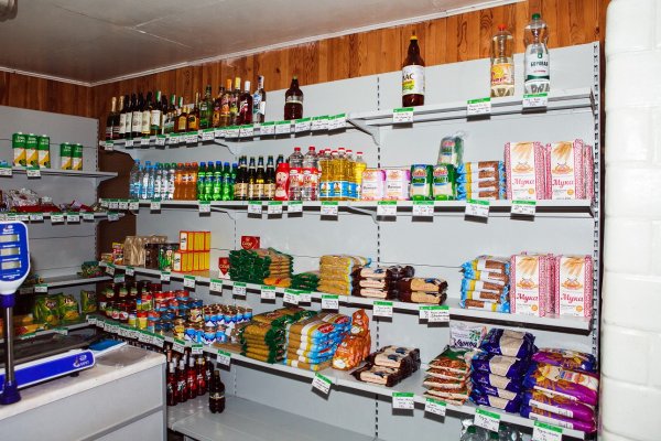 "Сел на велосипед – и ты в Польше". Как живет самая заповедная деревня Беларуси | - «Интернет и связь»