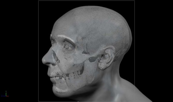 Ученые восстановили лицо "ведьмы", которая умерла 313 лет назад | 42.TUT.BY - «Интернет и связь»