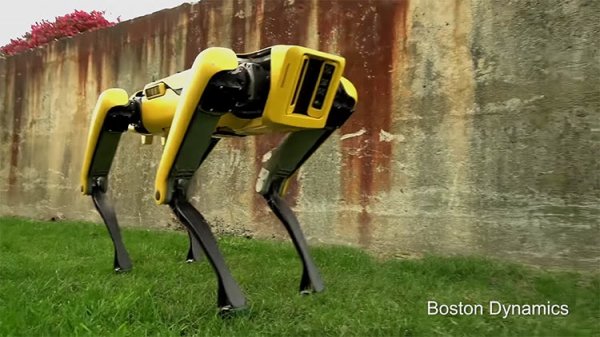Видео: новейший робот Boston Dynamics выглядит менее пугающе - «Новости сети»