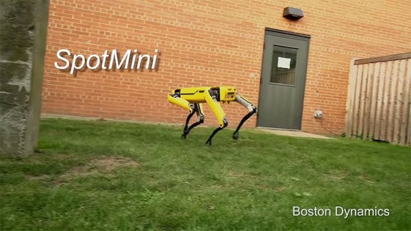 Видео: новейший робот Boston Dynamics выглядит менее пугающе - «Новости сети»