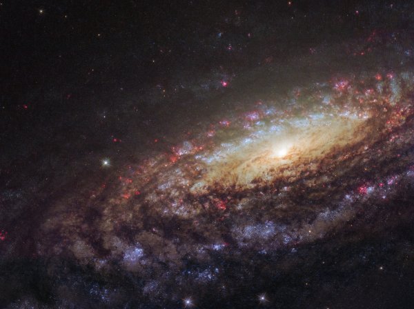 Фото дня: водоворот галактического масштаба - «Новости сети»