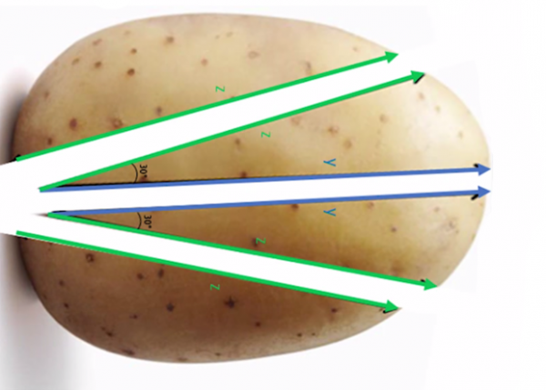 Исследователи нашли идеальный способ нарезки картофеля - «Интернет и связь»