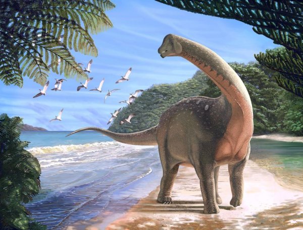 В Египте нашли новый вид огромных динозавров - «Интернет и связь»