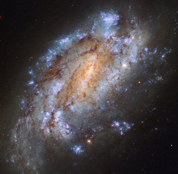 Фото дня: «убегающая» спиральная галактика с перемычкой - «Новости сети»