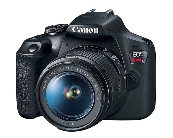 Зеркальный фотоаппарат Canon EOS 2000D рассчитан на начинающих пользователей - «Новости сети»