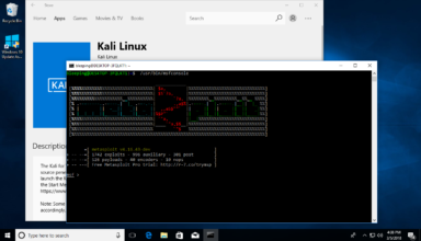 Kali Linux добавили в Windows Store, но Defender считает дистрибутив угрозой - «Новости»