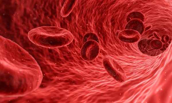 Учёные из РФ предлагают превратить клетки крови в троянских коней для доставки лекарств - «Новости сети»