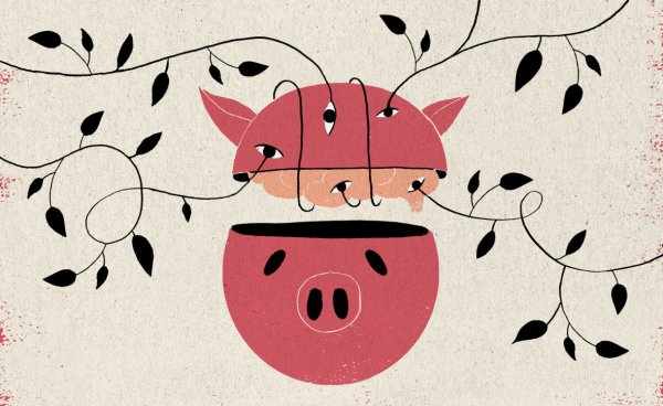 Ученые научились сохранять мозг свиньи живым вне тела - «Интернет и связь»
