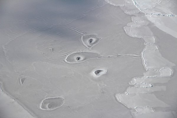 Во льдах Арктики заметили необъяснимые отверстия - «Интернет и связь»