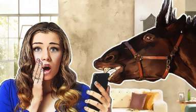 Кибершпионская группа ZooPark атакует пользователей Android на Ближнем Востоке - «Новости»