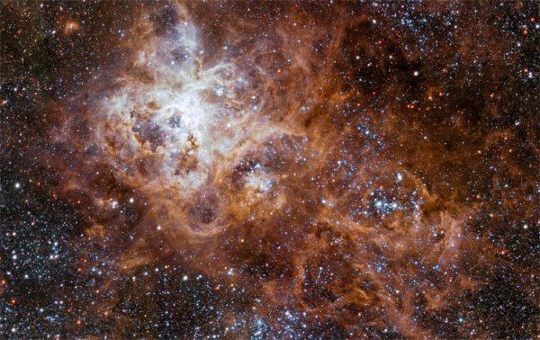 Фото дня: космический Тарантул удивительной красоты - «Новости сети»