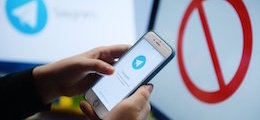 Россия готова капитулировать в войне с Telegram - «Интернет»