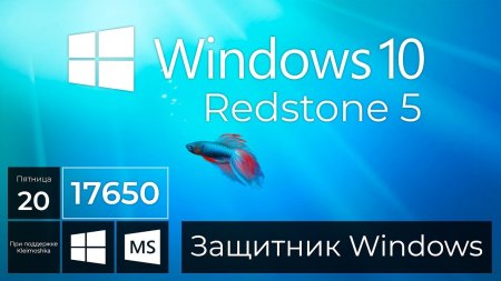 Windows 10 Build 17650 – Защитник Windows, Microsoft Store, Вкладки  - «Windows»