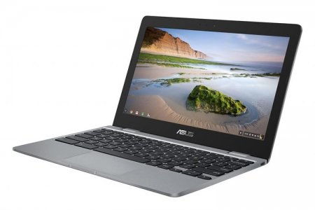 ASUS рассекретила портативный компьютер Chromebook C223 - «Новости сети»