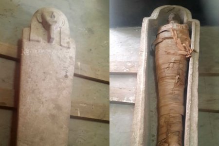 В Египте нашли саркофаг с нетронутой мумией - «Интернет и связь»