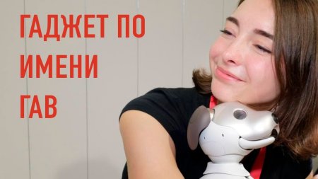 Гаджет, который гавкает?  - «Телефоны»