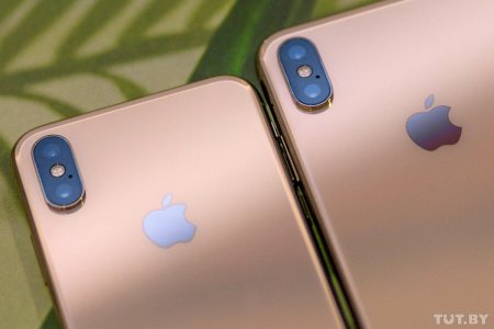 Apple опубликовала лучшие снимки пользователей, снятые на iPhone Xs - «Интернет и связь»