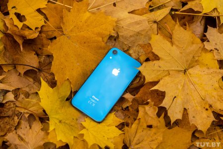 Золотая середина: полный обзор "бюджетного" iPhone Xr - «Интернет и связь»