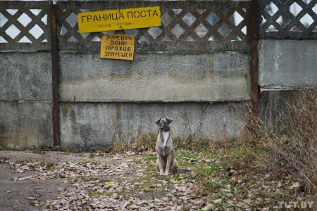 Одним залпом могли уничтожить часть Европы. Что осталось от сильнейшей ядерной базы под Осиповичами - «Интернет и связь»