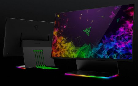 CES 2019: Razer представила свой первый игровой монитор — 27" Raptor - «Новости сети»