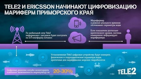 Tele2 и Ericsson повысят урожайность марикультурных ферм с помощью Интернета вещей - «Новости сети»