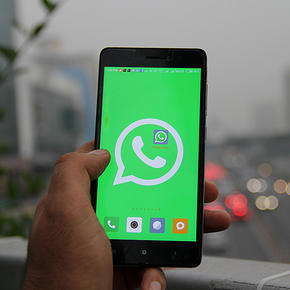 В WhatsApp прокомментировали утечку данных пользователей - «Интернет»