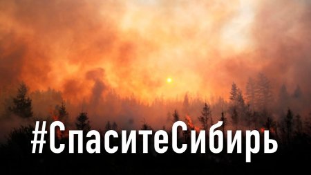 Что я думаю о пожарах в Сибири - #СпаситеСибирь  - «Телефоны»