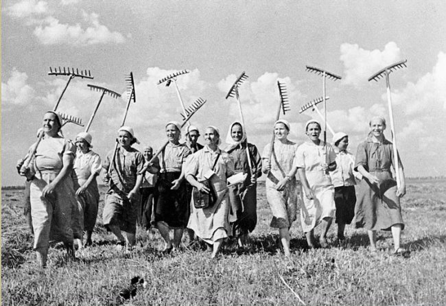 Колхозы XXI века: китайцы создали новую «коллективную» модель разработки и выпуска полупроводников - «Новости сети»