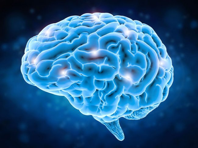 Магнитная стимуляция мозга улучшает рабочую память человека, но только в «пустой» голове - «Новости сети»