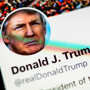 Twitter пригласили переехать в Германию из-за претензий Трампа - «Интернет»