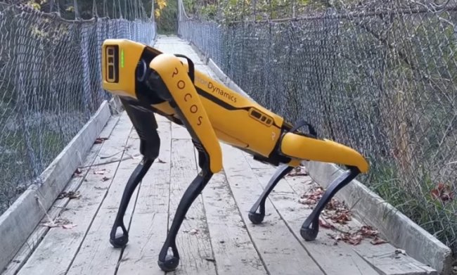 Робопёс Spot от Boston Dynamics в новом видео гуляет по садам, пасёт овец и валяется на травке - «Новости сети»