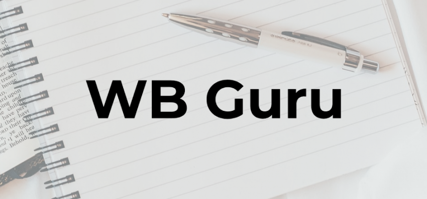 Продавцы Wildberries смогут вести блоги на WB Guru - «Новости мира Интернет»