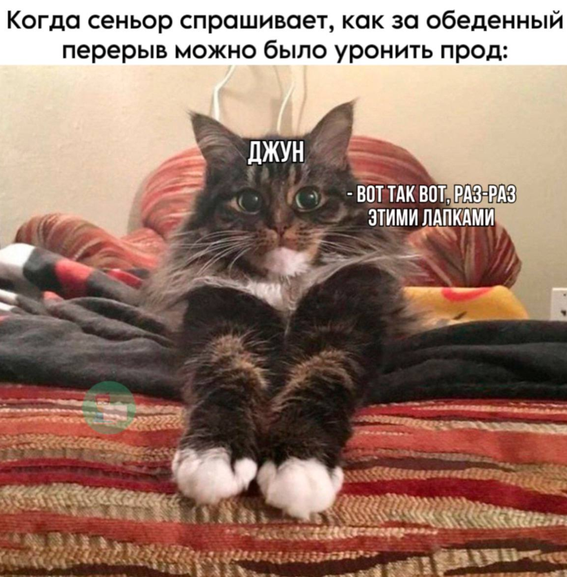 IT-мемы в Комьюнити: выпуск 39 - «Новости мира Интернет»