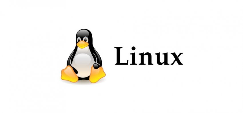 Представлено ядро Linux 6.5 с поддержкой USB4, Wi-Fi 7 и многим другим - «Новости мира Интернет»