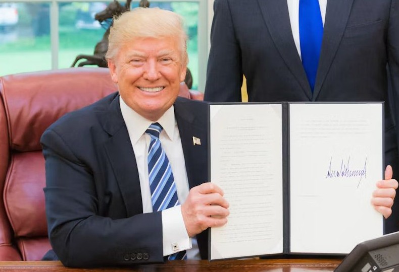 Подарок судьбы: после решения Трампа переименовать ИИ спрос на домены в словенской зоне «.si» вырос на тысячи процентов - «Новости сети»